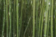 IMG_20200710_135331-scaled