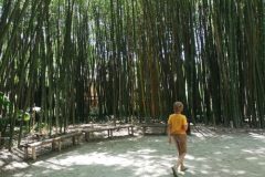 IMG_20200710_140000-scaled