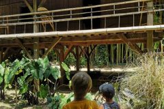 IMG_20200710_140436-scaled