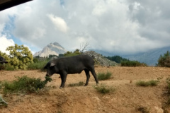 IMG_20180709_105430422_HDR