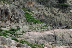 IMG_20180709_124123324