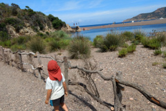 IMG_20180722_115815509