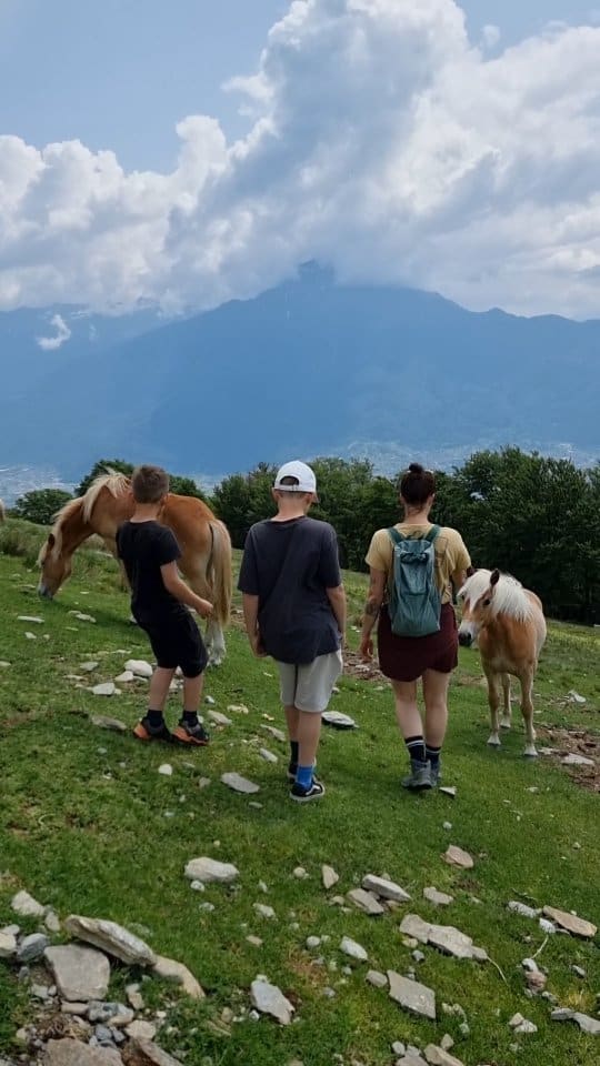 So eine schöne Begegnung ❤️

Bei unserem Campingstopp am Comer See wollten wir unbedingt in den umliegenden Bergen wandern.
Von Vercana aus wandern wir hoch auf die Alpe Graglio auf 1410 m. Immer mit Blick auf die umliegenden Berge und den See.
An der Alpe haben wir dann diese schöne Begegnung ❤️💫

Der 8 km lange Weg ist recht verlassen, allerdings gibt es mehrere Quellen zum Wasser auffüllen.

Speichert euch den Tipp gerne für euren nächsten Urlaub ab 💌
.
.
#bullikinder #wandertipp #wandernmitkindern #wandern #hikingwithkids #hikingtipps #hikingitalia #comersee #lagodicomo #alpegraglio #mottodellacroce #vanlifeitaly #roadtripitaly #roadtripitalien #italienreise #italienliebe
