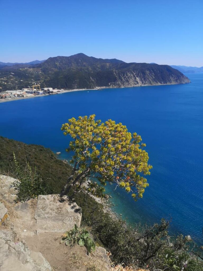 Wanderung mit Kindern in Ligurien Von Sestri Levante zur Punta Manara